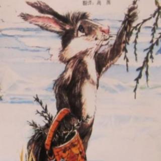 实验幼儿园绘本故事推荐第60期《兔子求雪》