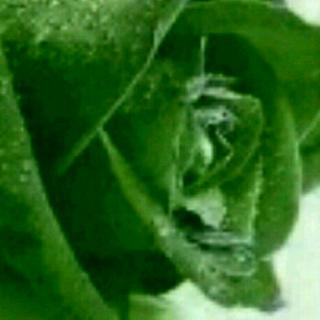 史记--卷一五帝本纪第一(7)