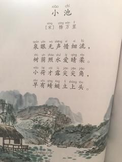 古诗《小池》