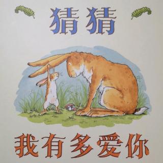 猜猜我有多爱你