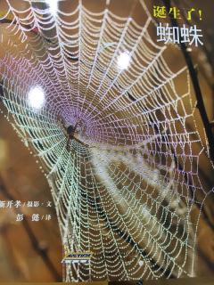 诞生了蜘蛛🕷️