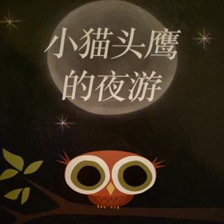 小猫头鹰的夜游