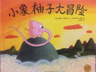 小象🐘柚子大冒险