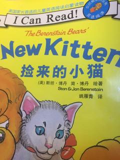 卡卡讲故事《New kitten》