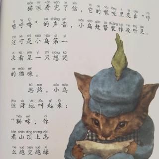 有颜色有甜味的风《猫咪回家》