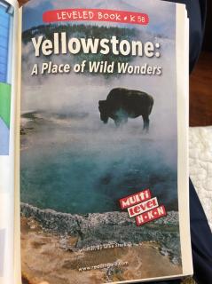 Yellowstone