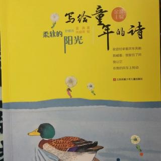 《柔软的阳光》1