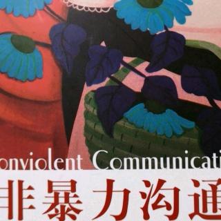 《非暴力沟通》第五章感受的根源：非暴力沟通实例