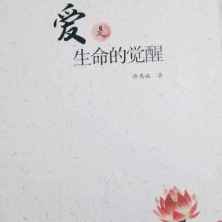 痛苦是真理这本书的封面