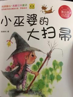 《小巫婆的大扫帚》—刺猬将军