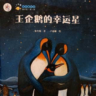 王企鹅的幸运星