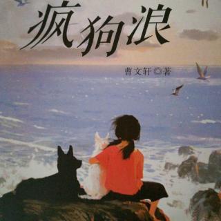 《疯狗浪》十三、魔鬼都要绕着走