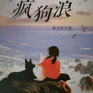 《疯狗浪》十四、黑白花