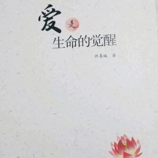 爱是一种看不见又摸不着的养料