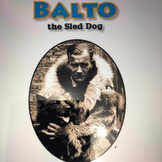 346 Balto the dog