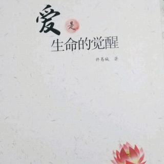 《爱是生命的觉醒》简介