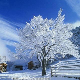美文朗读《王庭德---雪和雪景》