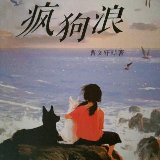 《疯狗浪》十五、被劫走的花花