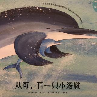 从前，有一只小海豚🐬