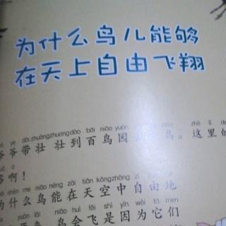 为什么鸟🐤能在天空中飞翔