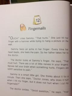 11-12 Fingernails