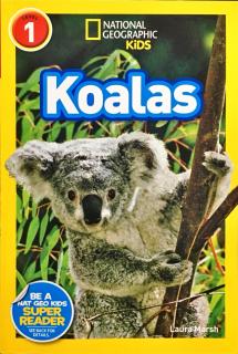 189. Koalas