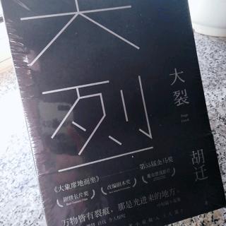 黄丽群为胡迁《大裂》写的序