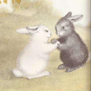 3⃣️3⃣️号 黄正玺 《小白兔和小黑兔》