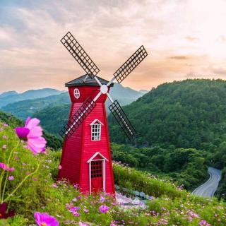 小小蝴蝶小小花🌸春雨☔️小柳树🌿沙发💐蒲公英🌻