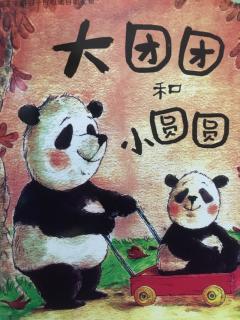 22.大团团和小圆圆🐼