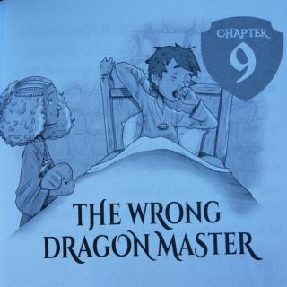 The Wrong Dragon Master