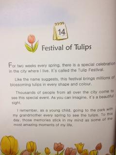 11-14 🌷Festival of Tulips