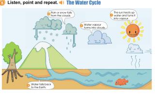 The Water Cycle♻️