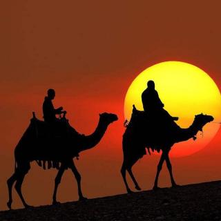 石硕 - 沙漠骆驼（1.17）