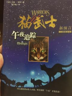 猫武士-午夜追踪-第十章