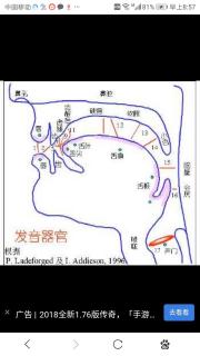 小泉流水老师讲解平翘舌发音要领