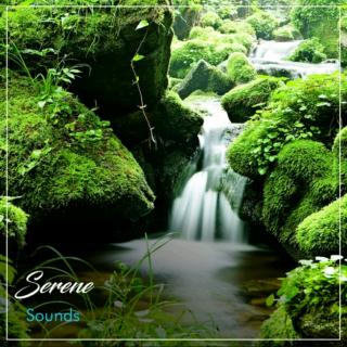 瑜伽音乐@12 Serene Sounds for Yoga Workout