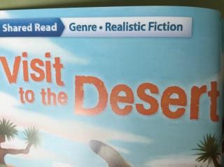 A Visit To Desert