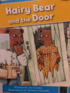 Hairy Bear and the Door