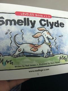 smelly clyde