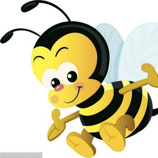新黑马23蜜蜂