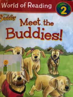 Meet The Buddies!
