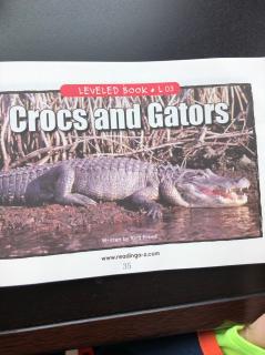 crocs and gators