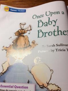 G2 Literature U5W2 - 👶🏻Once Upon a Baby Brother