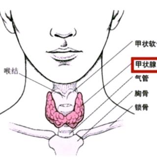 甲状腺结节的核素显像有什么意义？