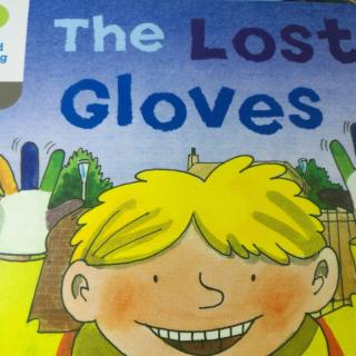 the lost gloves