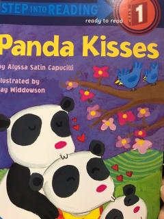 2019-1-19 Panda Kisses