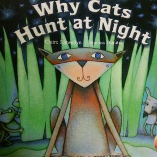 Why cats hunt at night