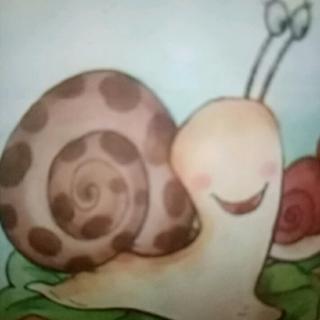 小蜗牛的壳