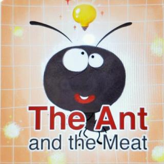 The ant and the meat